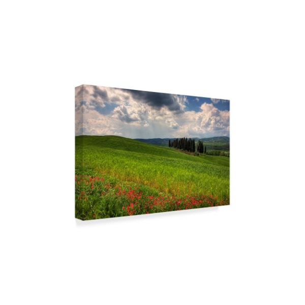 Maciej Duczynski 'Rustic Italy 1' Canvas Art,30x47